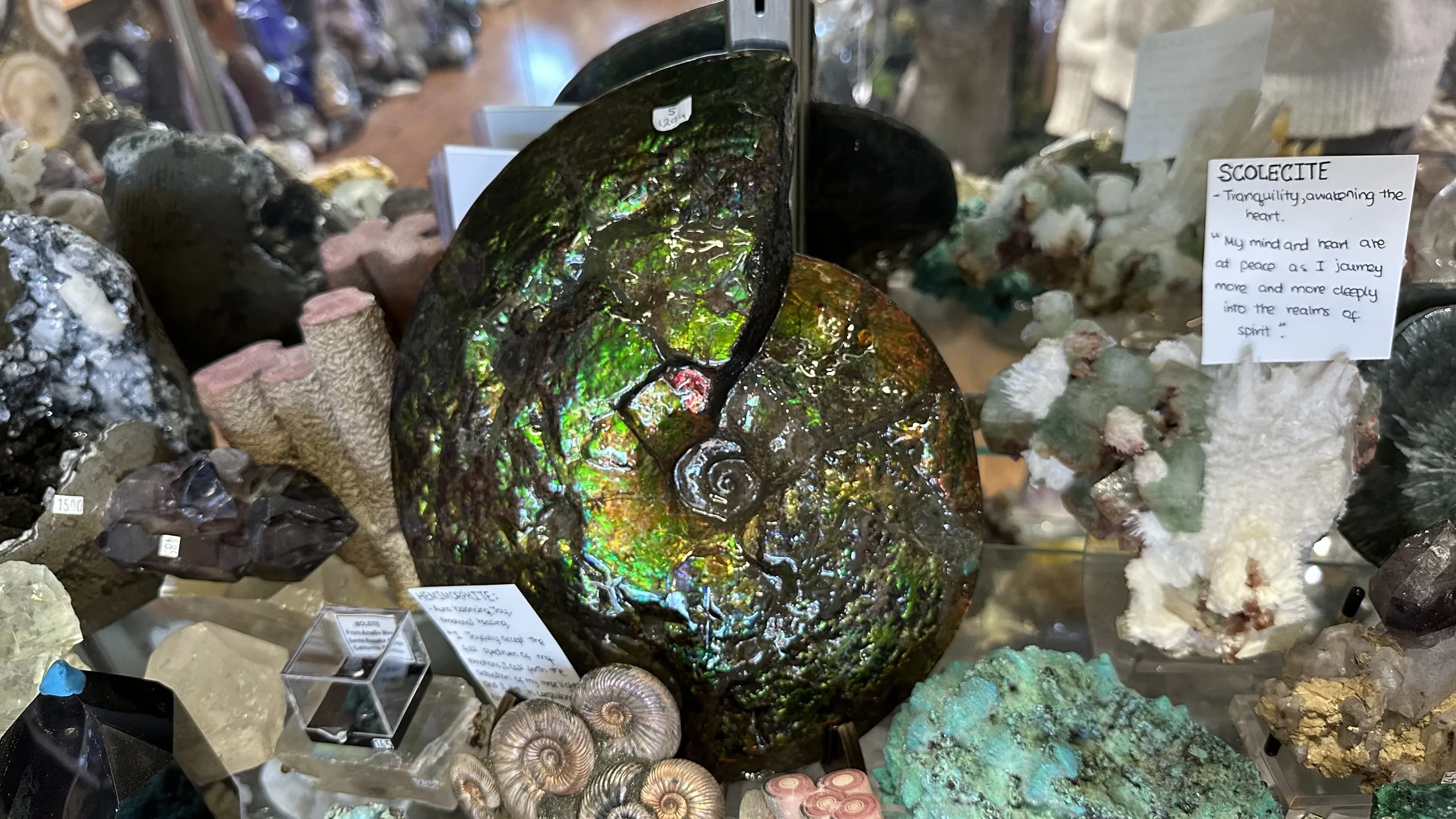 Azurite, malachite and iridescent ammonite collector display