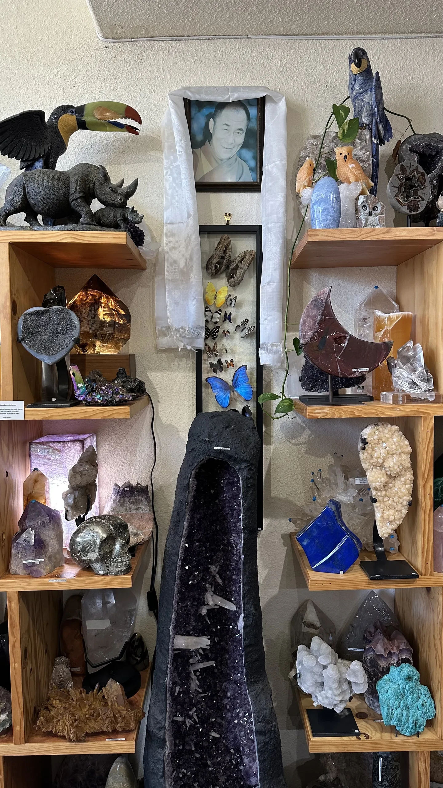 Floor-to-ceiling mineral shelves with a tall amethyst cathedral