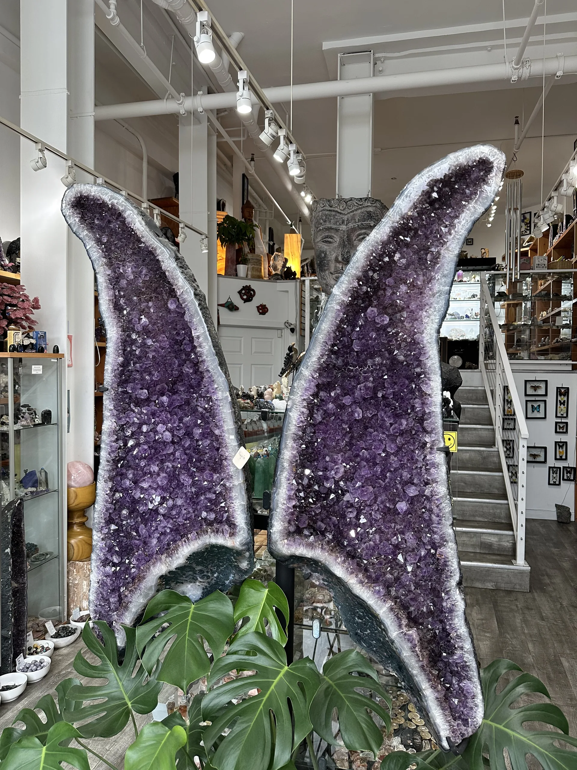 Twin amethyst geode wings with green plants at Stone Room