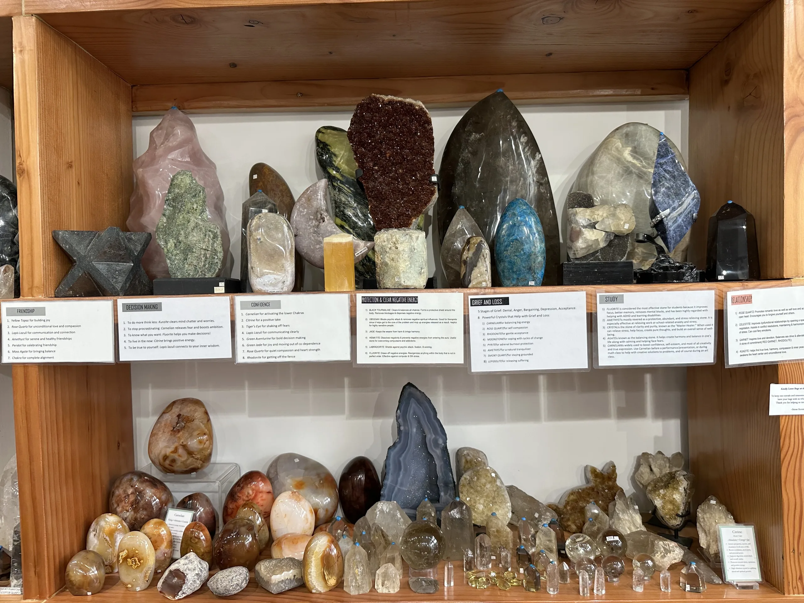 Labeled crystals, polished stones and educational mineral displays at Stone Room