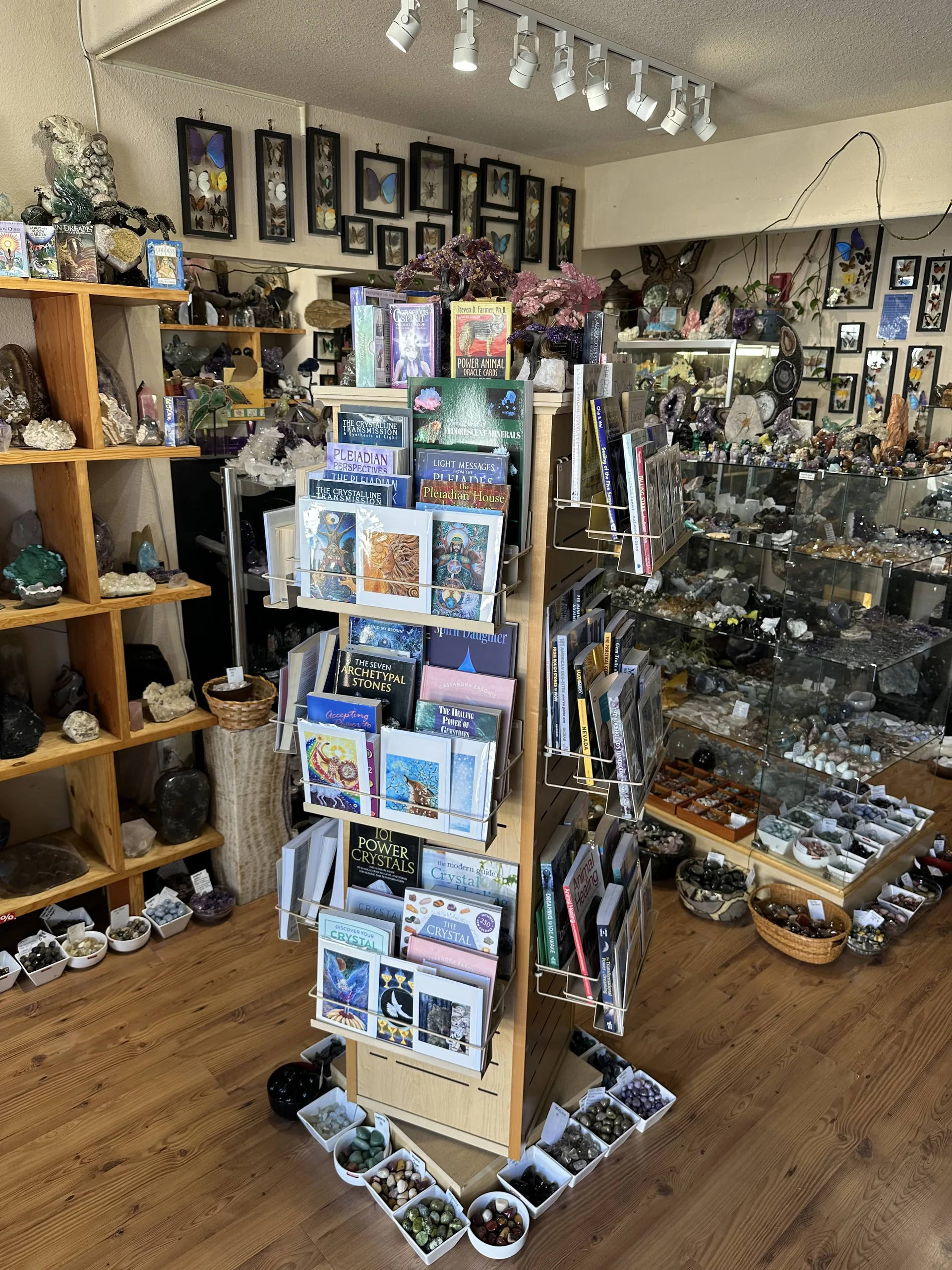 Stone Room crystal education books and mineral displays in the Albany shop