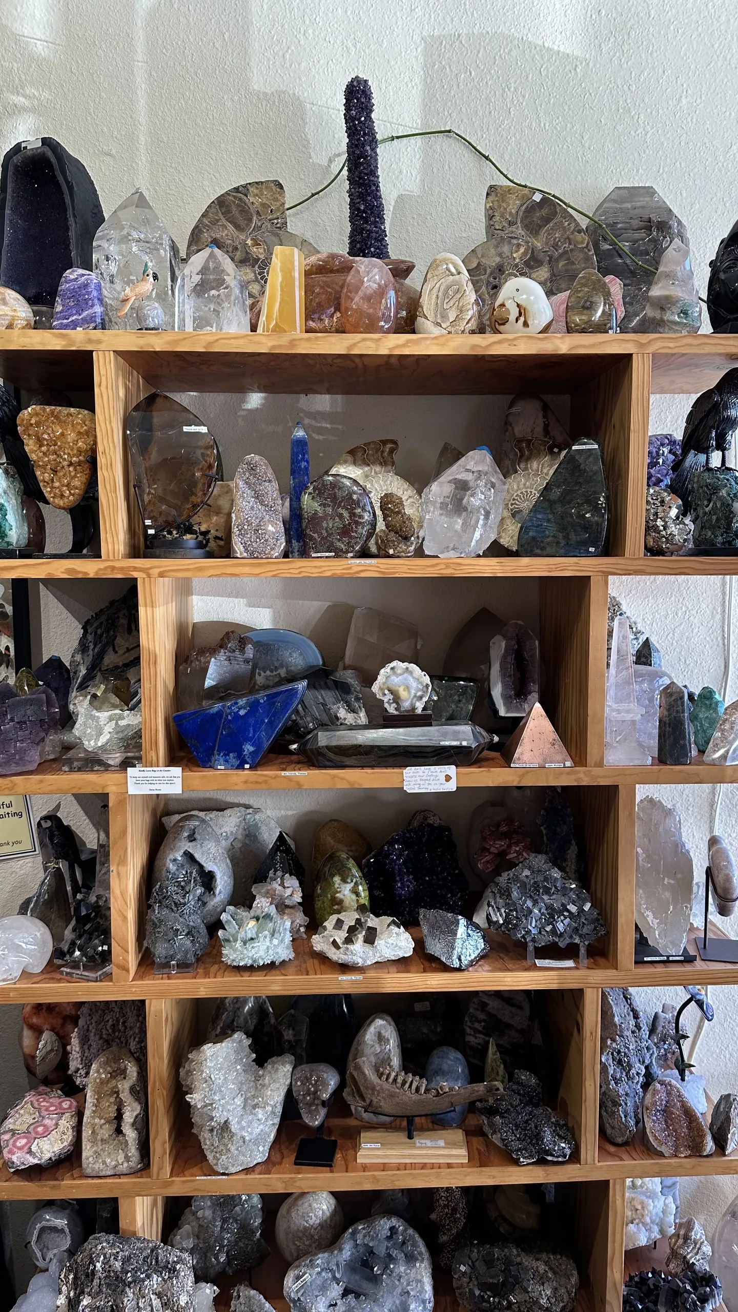 Wooden shelves with lapis, amethyst and crystal specimens