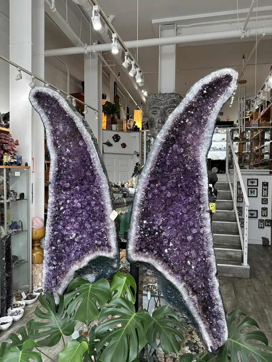 Twin amethyst geode wings with green plants at Stone Room