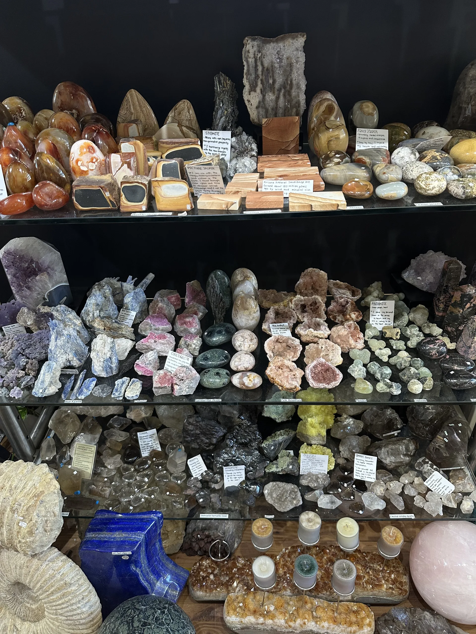 Shelves of crystals, minerals and fossils inside Stone Room