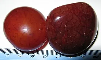Carnelian — mineral specimen