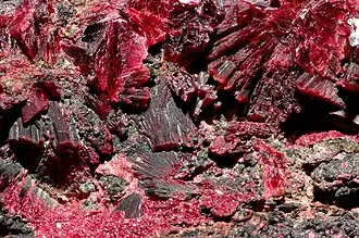 Erythrite — mineral specimen