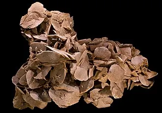 Desert Rose — mineral specimen