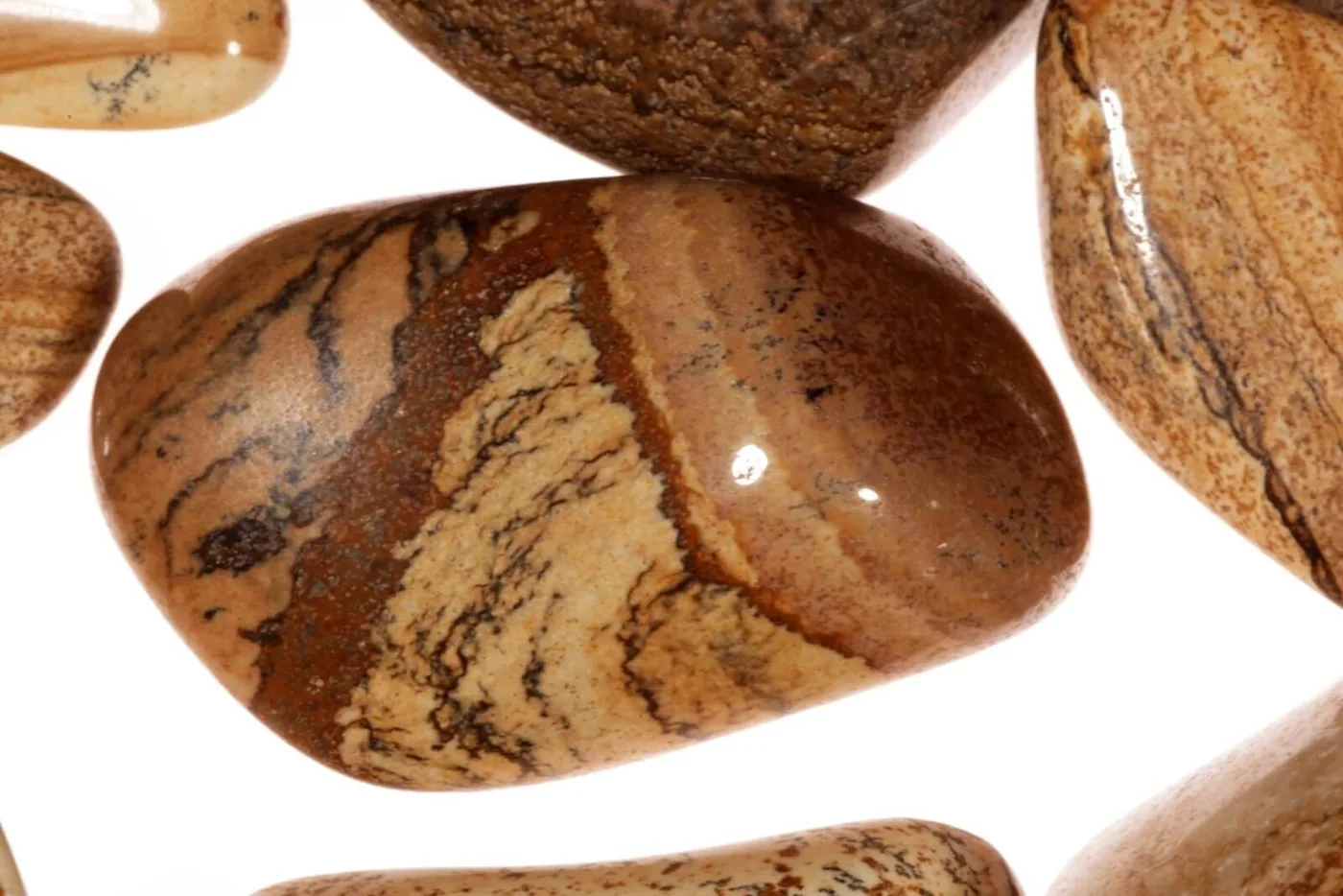 Picture Jasper — mineral specimen