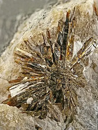 Astrophyllite specimen