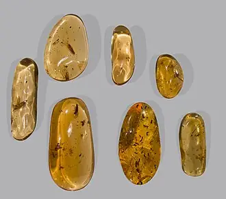 Copal specimen