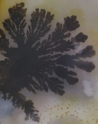 Dendritic Agate specimen
