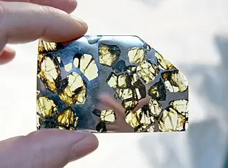 Pallasite Meteorite specimen